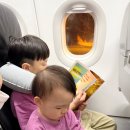 베트남 푸꾸옥 오전 도착 추천 동선! 킹콩마트 환전부터 빈펄 사파리까지