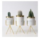 백창호 행정사 사무소 이미지