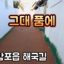 박서진 ♬ &#39;그대 품에&#39; 감포읍 해국길에서 이미지