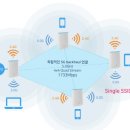 오르비 스포츠조선