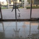 코코세탁소 이미지