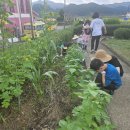 두원초등학교 이미지