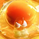 365 PC Zone 이미지