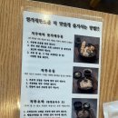 돈가츠와