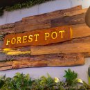 피자포레스트 이미지