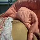 자연일기-2 | [출산일기] 40주 2일ㅣ초산모 자연분만 후기 _ 꾸미야 만나서 반가오 ♥