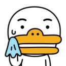 정신나감 이미지