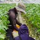 이재권농장 이미지