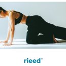 에이치 바디 핏 이미지