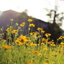 산속등대미술관 이미지