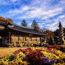 승원정비 | “입장료·주차비 무료인데 유네스코?”… 국보까지 품은 1,400년 천년 고찰