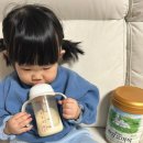 A2 | 🍼 후디스산양 아기 분유 추천, 소화 편안 A2 단백질 후기