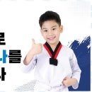 새빛태권도