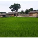 방학(농가민박) 이미지