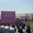 무장농장 | 포레스트벨 딸기체험 용인 아이와 실내 가볼만한곳 동물체험 불멍 후기