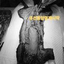 산청동물의료센터 이미지