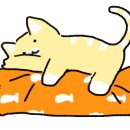 시립봉담도서관 이미지