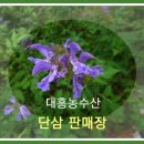 강서농협 하나로마트 이미지