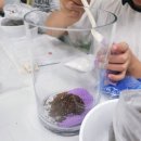 가포초등학교 이미지