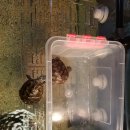 야! 놀자 PC 이미지