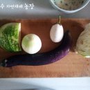 최영숙농장 이미지