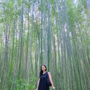 신사애인호텔 | 여행_오사카 교토버스투어, 후시미이나리, 청수사, 금각사, 아라시야마 교토 투어 후기, +혼여행급만남