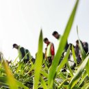 한강시민공원(화훼단지) 이미지