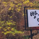 베이커리앤카페엘리제