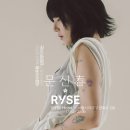 라이즈호텔 데일리안