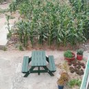 숙희민박 이미지