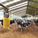 경성목장 이미지