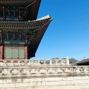 작은여우비 | 수락휴 자연휴양림 개별동 4인 여우비(6호실) 숙박후기, 가격, 예약팁