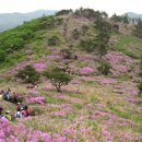 제암산2 - 1326 | 제암산2