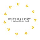 나이스올케어 이미지