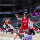 아이리스 이미지