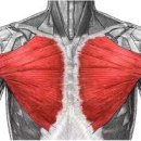 에이트 피티 스튜디오 이미지
