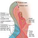 압구정한의원 이미지