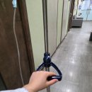 치루개 | 치루 치핵수술 당일 퇴원 후기, 통증