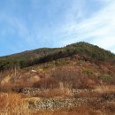 신세기공인중개사사무소 이미지