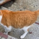 성로원경로당 이미지