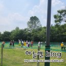성남시 실버 파크골프 대회 방문 후기