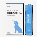 반려견 이해하기(펫) 이미지