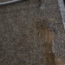 아산나부빌 이미지