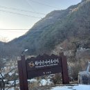 황정산자연휴양림 아이들과 겨울방학 단양여행 후기