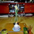 금잔옥대(金盞玉臺)의 수선향 & 말차 쇼우카쿠(松鶴)와 육보차(六堡茶) 차향 이미지