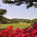 엘리체컨트리클럽 이미지