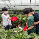 김동언농장 프레시안
