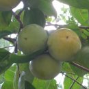 미천경로당 이미지