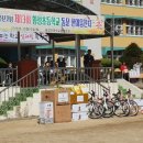 횡성초등학교 | 횡성초등학교 총동문회