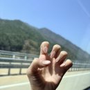 네일찬